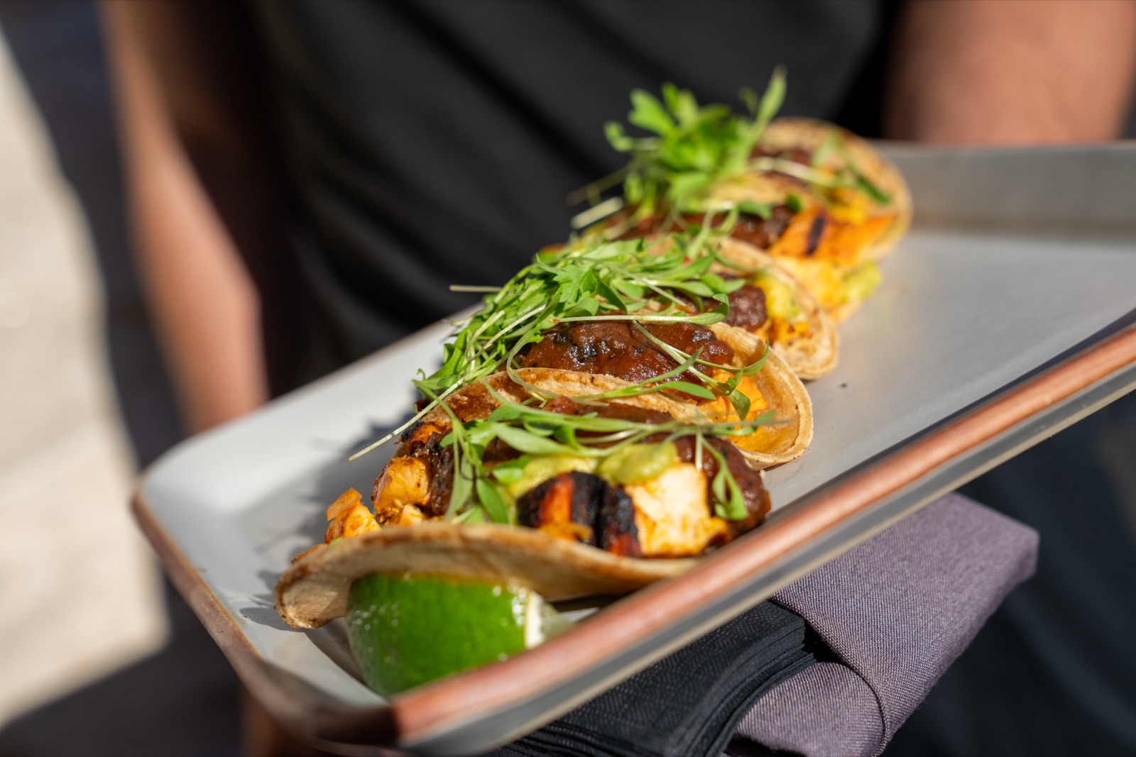 Outdoor gathering at Palooza XVII